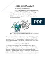 Superóxido Dismutasa Cu