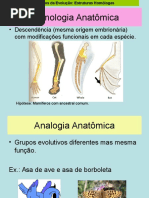 Biotipologia e Planimetria Anatômica