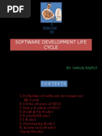 Software Develpoment Life Cycle