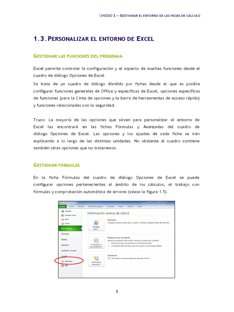 Personalizar El Entorno de Excel | PDF | Microsoft Excel | Point and Click