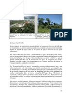 vegetacion higrofila.pdf
