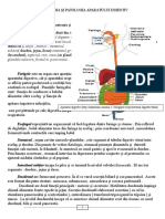 5 Aparatul Digestiv Final CORECTAT