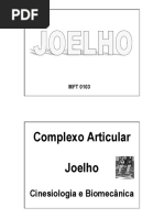 112689145 Biomecanica Do Joelho