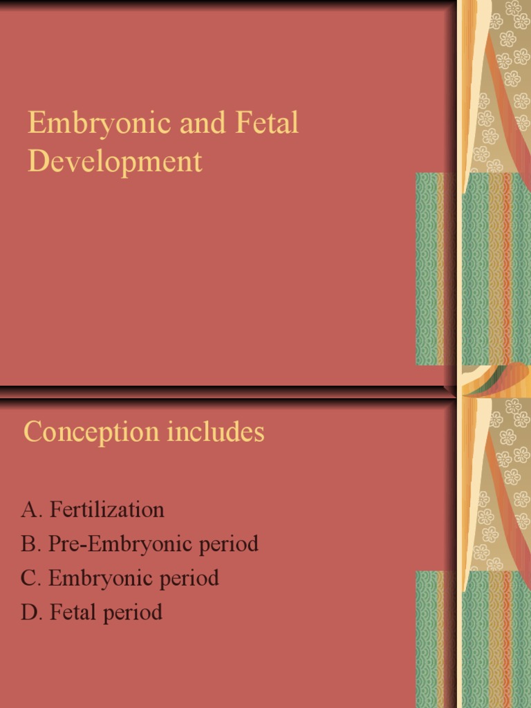 Embryonic and Fetal Development Overview | PDF | Developmental Biology ...