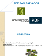 Hidroponia