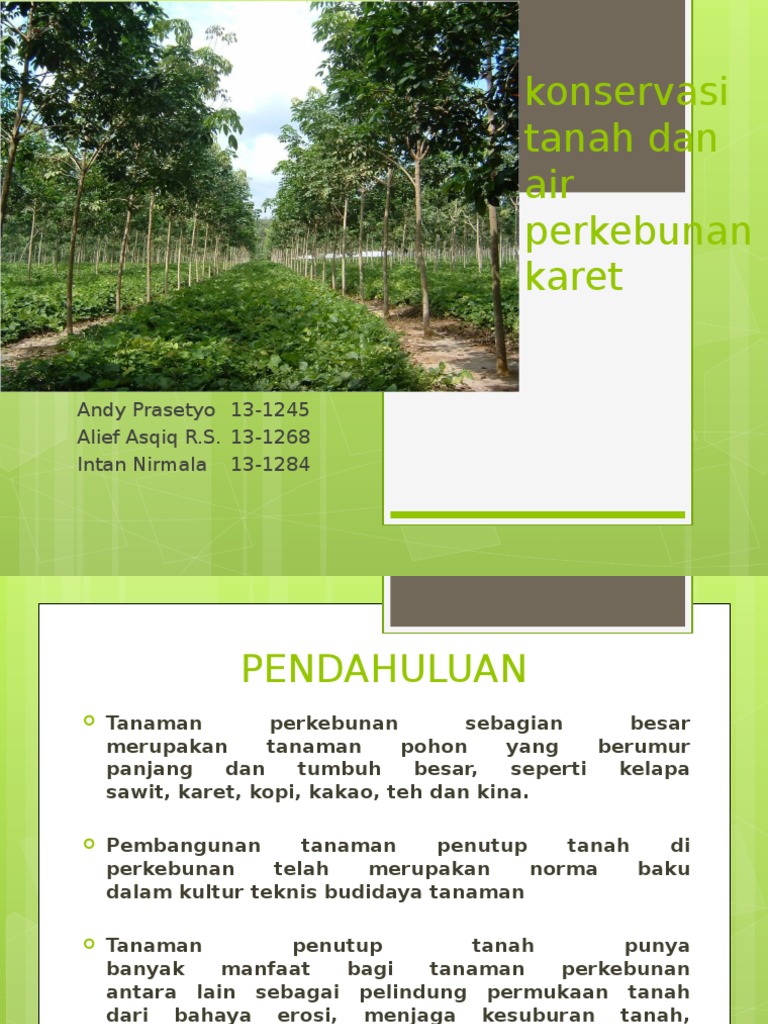 Konservasi Tanah Dan Air Perkebunan Karet