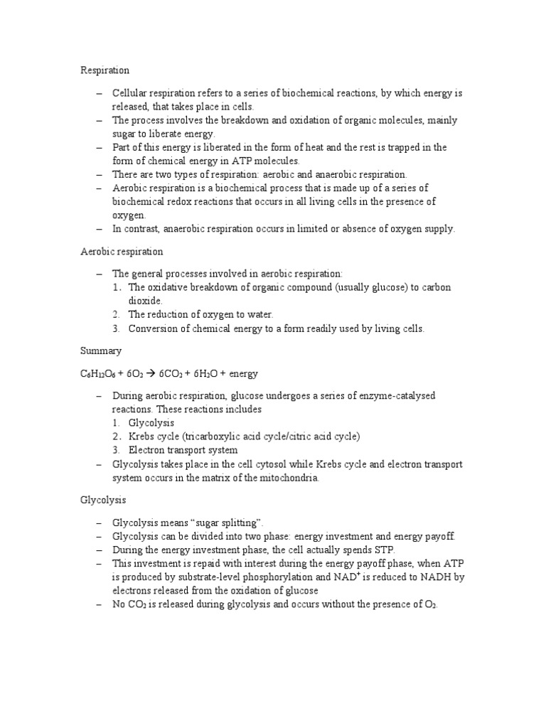 Cellular Respiration Overview | PDF | Cellular Respiration | Adenosine ...