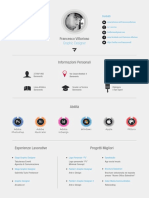 Graphic Curriculum Vitae