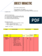 08proiect Didactic