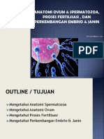 Anatomi Ovum & Spermatozoa, Proses Fertilisasi