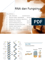 3 Jenis RNA Dan Fungsinya