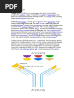 Download Document Makalah Antibodi by Maizun Rahmatullah Madridista SN31436091 doc pdf