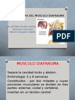 Patologias Del Musculo Diafragma
