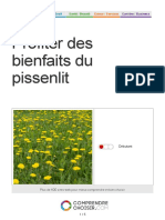 Fiche Profiter Des Bienfaits Des Pissenlites