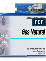 Mod 001 Introduccion Gas Natural