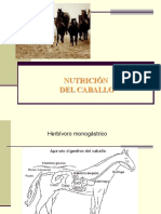 Nutrición de Caballos