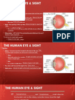 the human eye notes