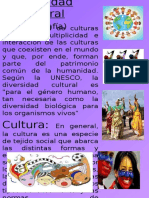 Diversidad Cultural INFOGRAFIA, Daniela Sandoval SeccionT3