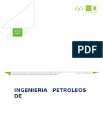 272918762-IPR-2-fases-Metodo-de-Fetkovich[1]