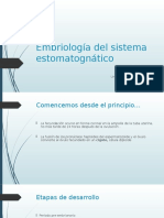 Embriología Del Sistema Estomatognático