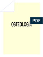 Anatomia Osteologia