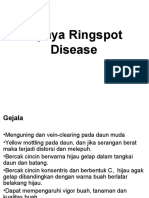 Penyakit Papaya Ringspot-Revisi
