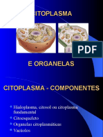 Citoplasma e Organelas