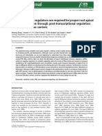 Zhang Et Al-2011-The Plant Journal