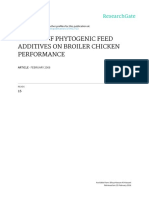 chicken performance