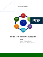 M Los Sistemas Integrados de Gestión - L.pdf