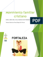 Tema Fortaleza