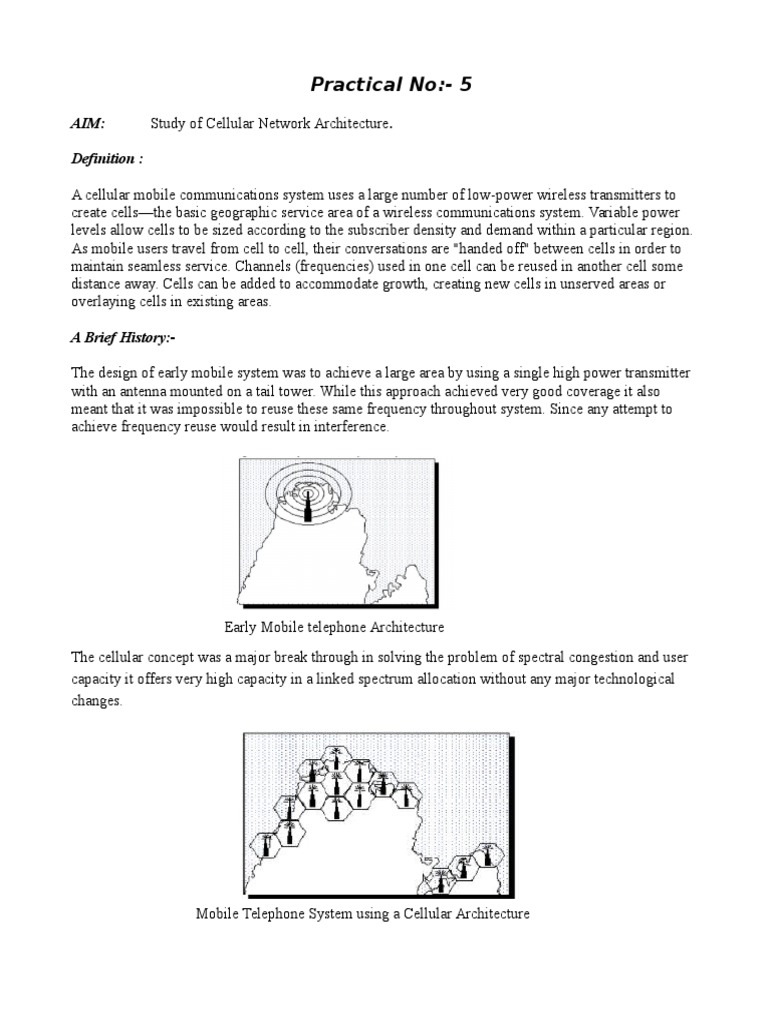 Cellular Architecture | PDF