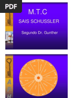 Sais de Schussler e Mtc