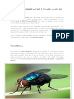 Sua Visão Perante a Vida é de Abelha Ou de Mosca