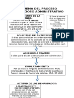 Esquema Del Proceso Contencioso Administrativo