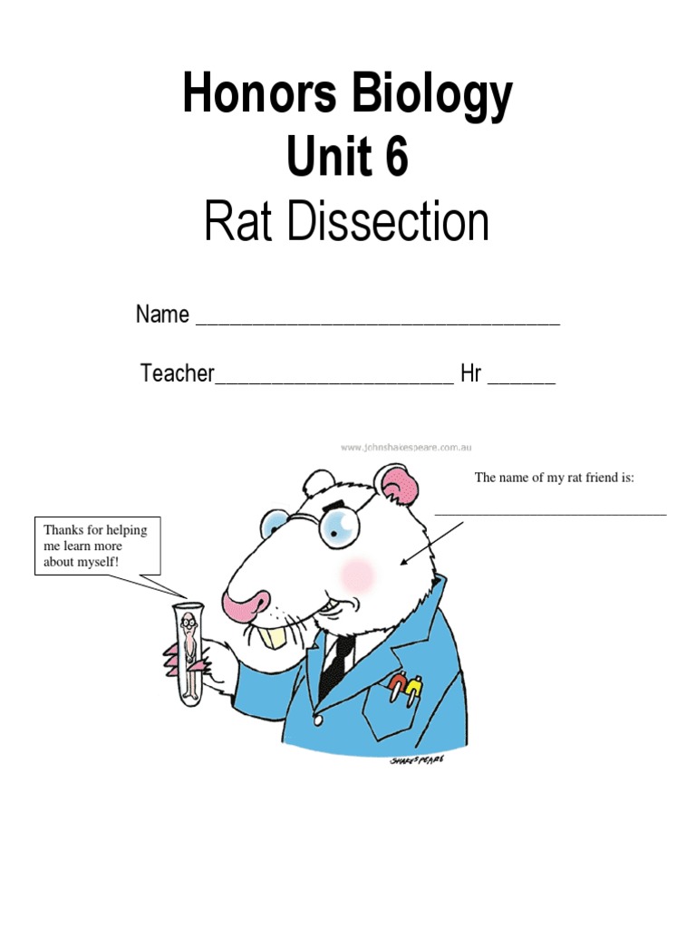 rat dissection | Human Digestive System | Gastrointestinal Tract