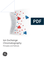 Ion Exchange Chromatography PDF