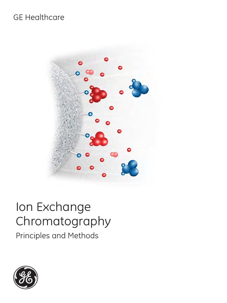 Ion_Exchange_Chromatography.pdf Chromatography Gel Electrophoresis