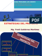 9. Estrategias Del Proyecto.