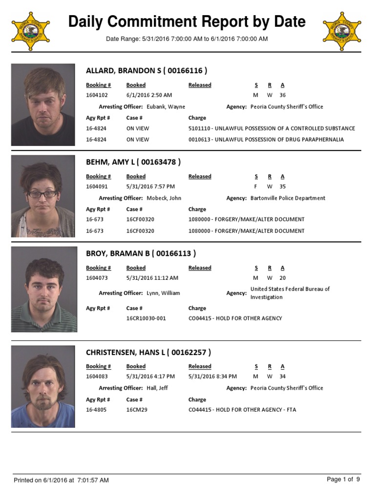 Peoria County Daily Commitment Report PDF Theft Battery (Crime)