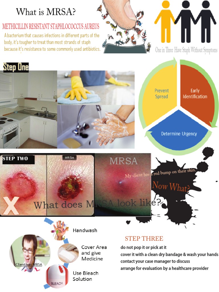 Understanding MRSA Infections and Care | PDF | Self-Improvement | Wellness