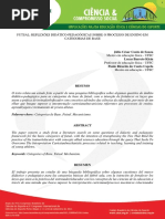 REFLEXÕES DIDÁTICO-PEDAGÓGICAS