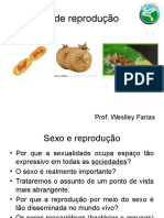 Tipos Reprodução Animais Plantas