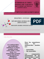 Metabolismo de Los Aa