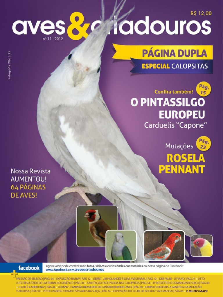Revista Aves Criadouros PDF Mutação Cor