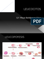Leucocitos: funciones, tipos, anormalidades y títulos
