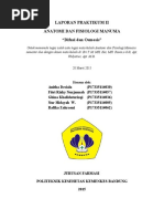 Download LaporanAnfismanDifusiOsmosisbyanithadesialaSN314551150 doc pdf