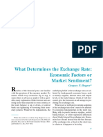 What Determines The Exchange Rate: Economic Factors or Market Sentiment?