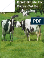 A Brief Guide to Dairy Cattle Judging