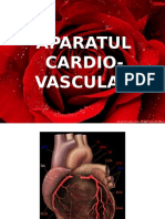 Aparatul Cardio Vascular